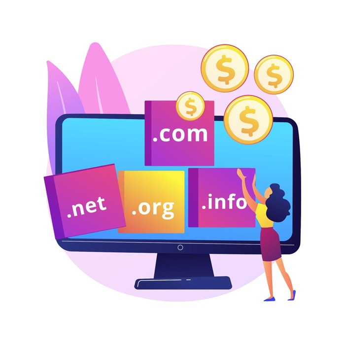 Meaning of a Domain Extension