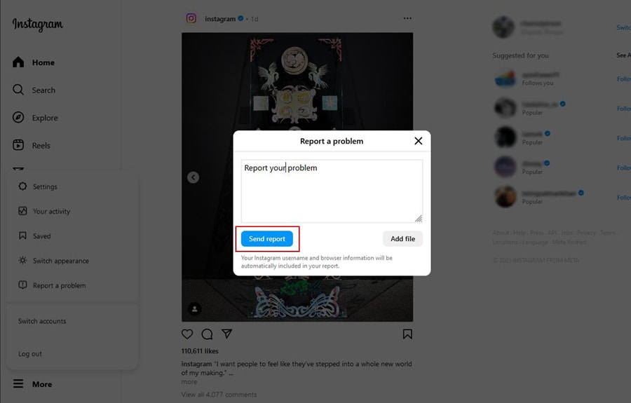 Instagram Report Send